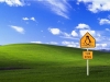 Fun wallpaper 80